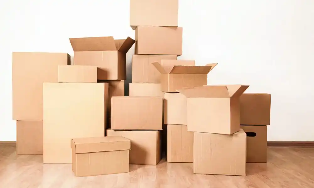 Choosing Cardboard Boxes for Retail Displays and Product Presentation